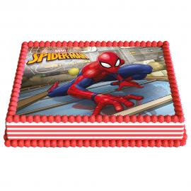 Tårtbild Spiderman Fyrkantig A