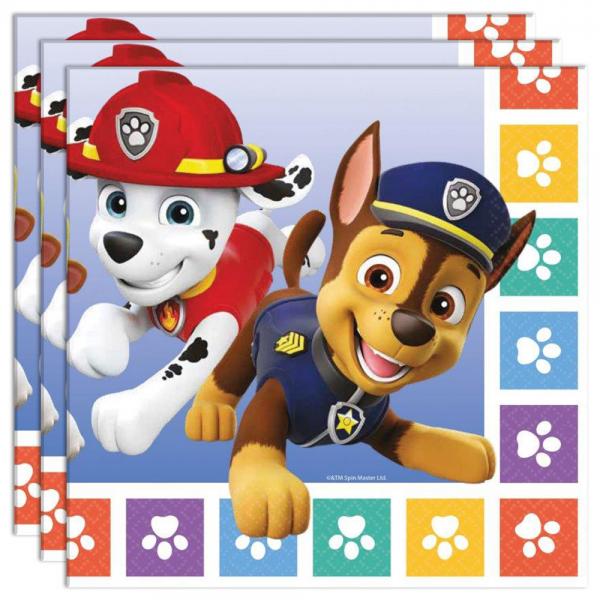 Paw Patrol Friends Servetter